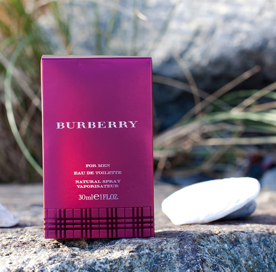 burberry classic for men