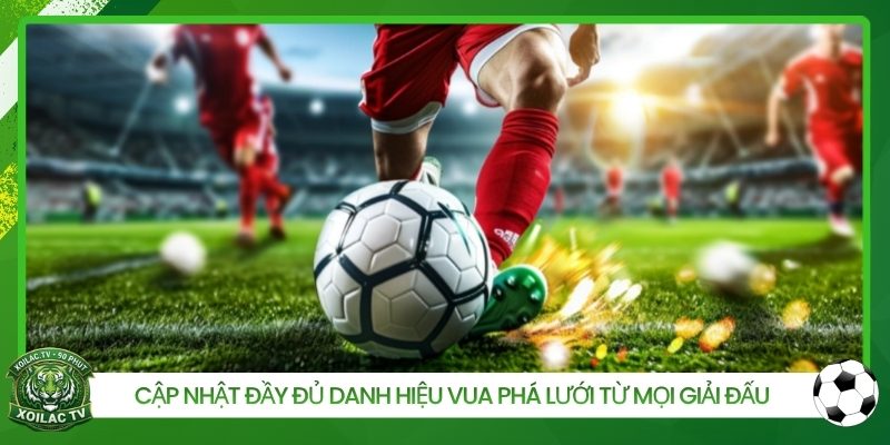 Cập nhật đầy đủ danh hiệu vua phá lưới từ mọi giải đấu